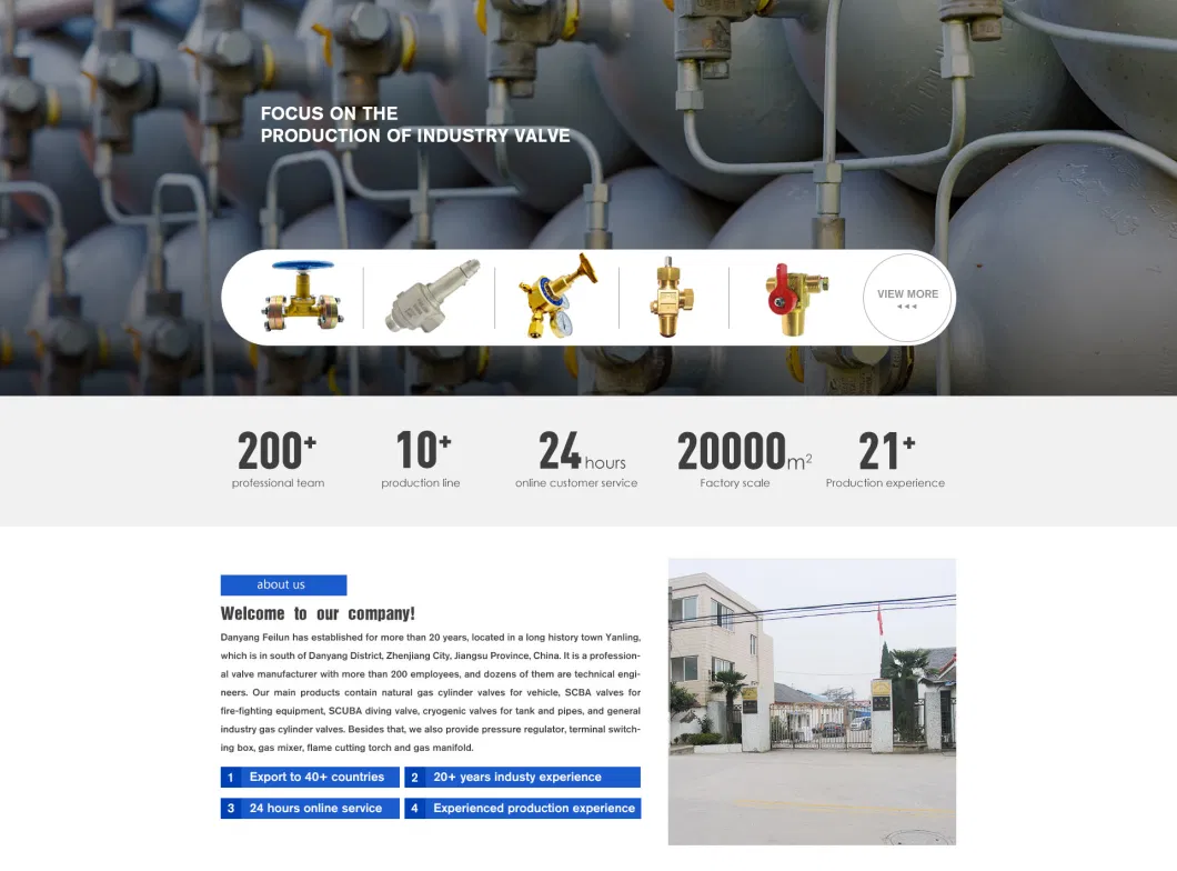 Dyz-06c Brass Low Temperature Cryogenic Combination Pressure Regulator