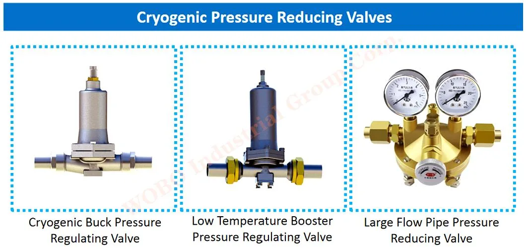 Cryogenic Economizer Low Temperature Stop Flange Steel Control Manufacturer Forged Gate Cast Safety Globe Ball Relief Valve Pressure Reducing Regulator 50%ANSI