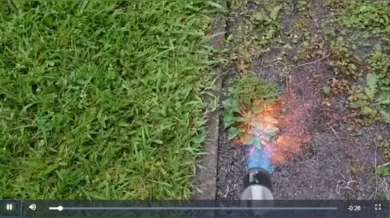 Rhk Industrial Liquid Gas High Temperature Single Double Switch Garden Weed Burner Heating Torch Flame Gun